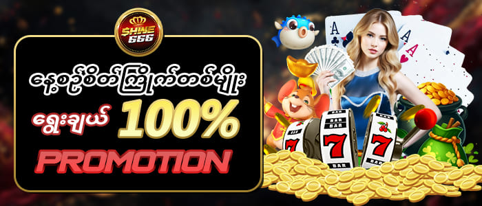 ပရိုမိုးရှင်းများ100 %