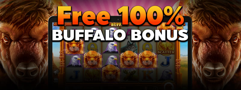 ကျွဲ စလော့ app download ပရိုမိုးရှင်း